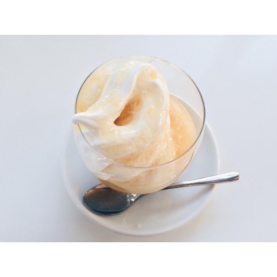 FROZEN YOGURT
