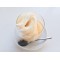 FROZEN YOGURT